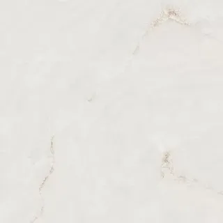 Керамогранит Absolut Gres Profitland Bianco AB 1022G Gloss 60x60 см