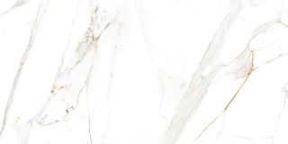 Керамогранит Absolut Gres Regal Carrara AB 1144G Gloss 60x120