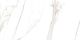 Керамогранит Absolut Gres Regal Carrara AB 1144G Gloss 60x120