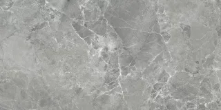 Керамогранит Absolut Gres Grigi AB3118G Gloss 120x60 см