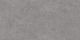 Керамогранит Kerama Marazzi DL500900R\GCF Ступень клееная Фондамента серый 33x119,5x1,1