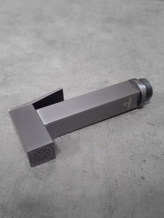 Гигиеническая лейка AltroBagno BS 060213 GrMt
