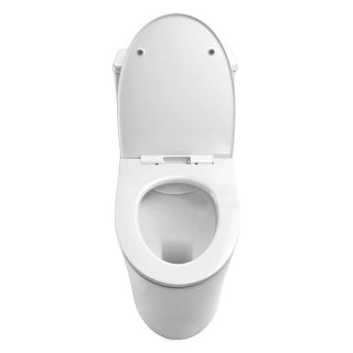 Унитаз-моноблок Azario Bais AZ-5003 безободковый белый