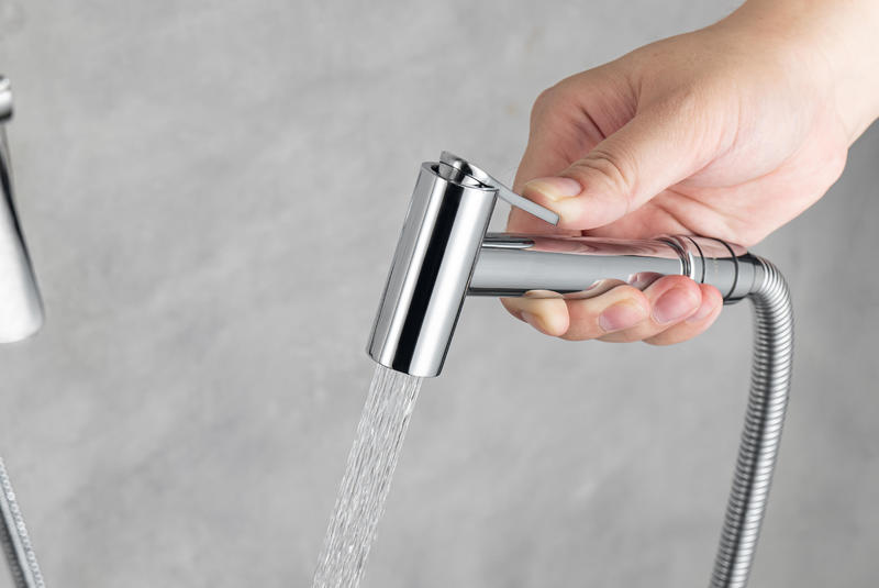Гигиенический душ со смесителем Aquatek Вега AQ1019CR хром