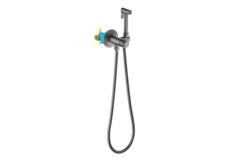Гигиенический душ со смесителем Aquatek Бетта AQ1023BGM оружейная сталь