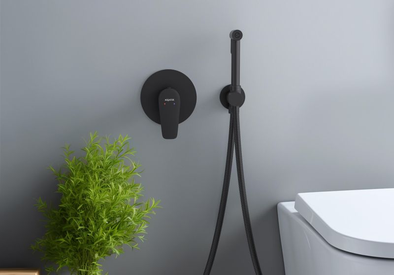 Гигиенический ручной душ Aquatek Бетта AQ1119MB черный