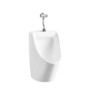 Писсуар Aquatek AQ3040-F-00 в комплекте со смывным механизмом белый