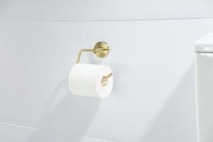 Бумагодержатель квадратный Aquatek Европа AQ4118BG шлифованное золото