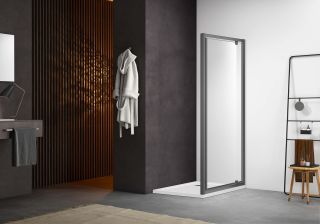 Душевая дверь Aquatek AQ ARI PI 09020GM 90 см оружейная сталь