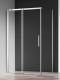Душевая дверь AQUAme AQM4803-10 100см хром