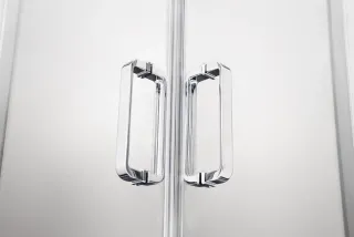 Душевая дверь Aquatek AQ ARI RA 10020CH 100см хром