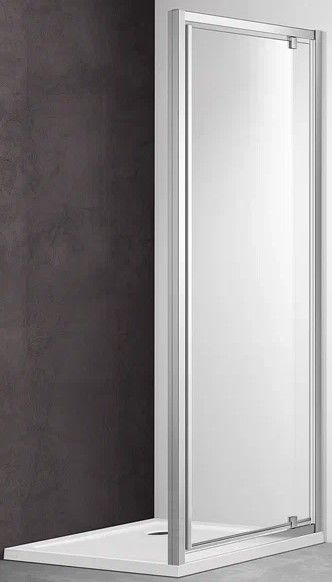 Душевая дверь Aquatek AQ ARI PI 10020CH 100см хром