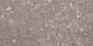 Плитка Ceramika Paradyz Арагорн серая 53946, 30x60 (1,44)