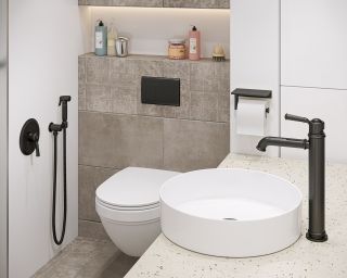 Гигиенический душ Timo Arisa со смесителем чёрный 5309/03SM