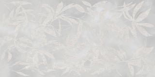 Керамогранит Vitra K958008R0001VTER Артволл Цветы Серый Матовый 60x120