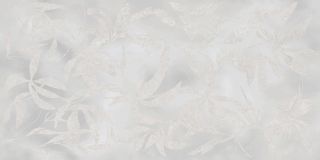 Керамогранит Vitra K958008R0001VTER Артволл Цветы Серый Матовый 60x120