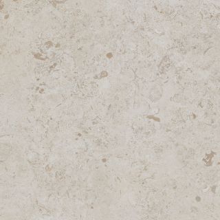 DD641020R Про Лаймстоун серый светлый натуральный обрезной 60x60x0,9  (1,44)