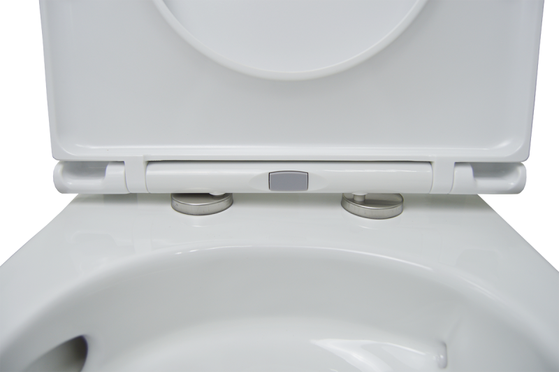 Сет AZARIO AZ-8010-1000+LY1100R унитаз подвесной Creo Ceramique LYon 2.0 с системой смыва Tornado в комплекте с быстросъемным сиденьем микролифт Сет AZARIO AZ-8010-1000+LY1100R унитаз подвесной Creo Ceramique LYon 2.0 с системой смыва Tornado в комплекте с быстросъемным сиденьем микролифт