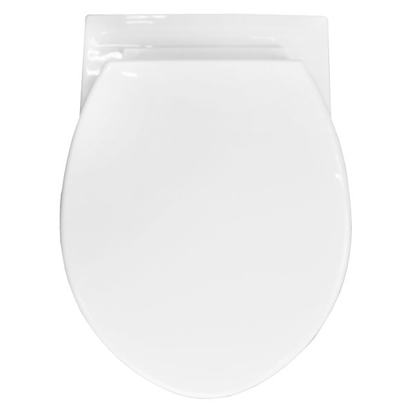 Сет AZARIO PROJECT AZ-8010-1000+PR1100N инсталляция + Унитаз подвесной в комплекте с быстросъемным сиденьем микролифт Сет AZARIO PROJECT AZ-8010-1000+PR1100N инсталляция + Унитаз подвесной в комплекте с быстросъемным сиденьем микролифт