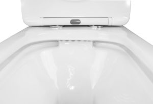 Унитаз-компакт Azario Fresco AZ-8302 360х620х800 напольный, безободковый, с быстросъемным сиденьем микролифт