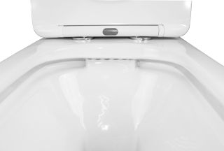 Унитаз-компакт Azario Fresco AZ-8302 360х620х800 напольный, безободковый, с быстросъемным сиденьем микролифт Унитаз-компакт Azario Fresco AZ-8302 360х620х800 напольный, безободковый, с быстросъемным сиденьем микролифт