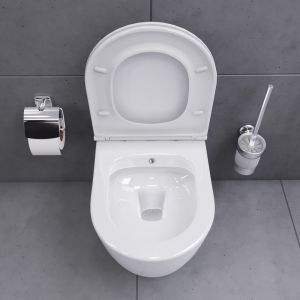 Подвесной унитаз Damixa Sirius DX86C1800SC безободковый  с функцией биде