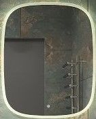 Зеркало с холодной подсветкой Art&Max Forli 65x80см AM-For-650-800-DS-F Зеркало с холодной подсветкой Art&Max Forli 65x80см AM-For-650-800-DS-F