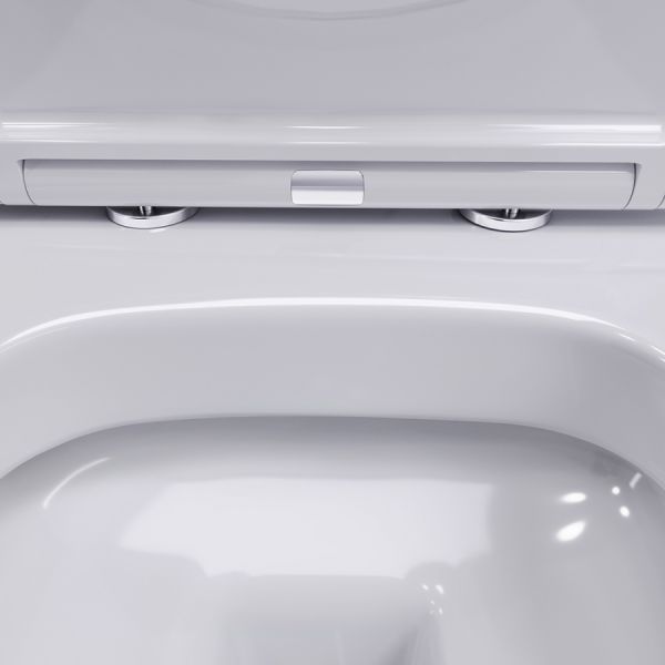 Унитаз подвесной  Damixa Sirius DX86C1700SC с сиденьем микролифт