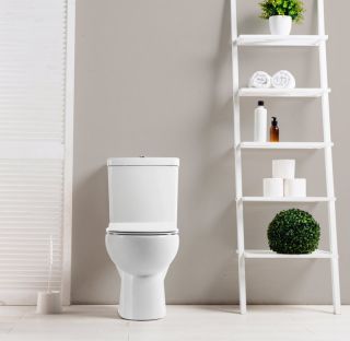 Чаша унитаза напольного BelBagno Ricco BB275CPR Чаша унитаза напольного BelBagno Ricco BB275CPR