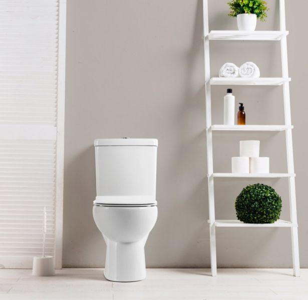Чаша унитаза напольного BelBagno Ricco BB275CPR