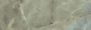 Плитка Kerama Marazzi 14025R Джардини зеленый глянцевый обрезной 40x120x1