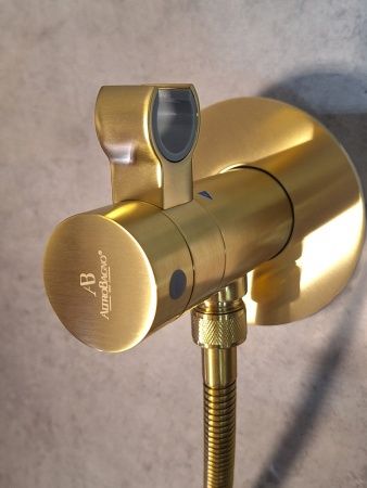 Гигиенический душ с термостатом AltroBagno BM 060403 OrSp