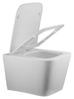 Сиденье для унитаза Wonzon & Woghand WW-S2216-MW белый матовый