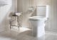 Крышка для унитаза Roca Debba ZRU9302826 с микролифтом