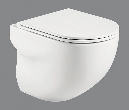Крышка-сиденье для унитаза BelBagno Flay-R BB870SC