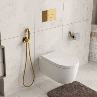 Гигиенический душ со смесителем WasserKRAFT A70738 золото