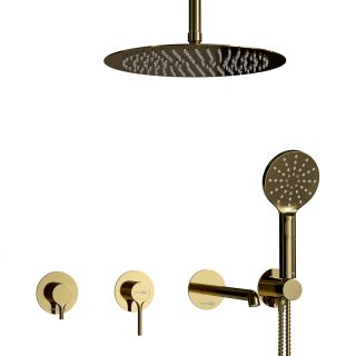 Душевой комплект WasserKRAFT Rhein 9951.99DVR3.234.263.444.197.348.443PG золото
