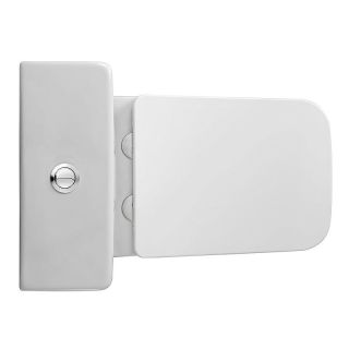 Унитаз напольный Azario Brizo AZ-2905T безободковый белый