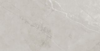 Керамический гранит Azario VIVYEN GREY F4060821120G 60х120 Glossy (вывод)