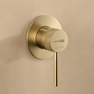 Смеситель для душа WasserKRAFT Muritz 9851BG золото матовое