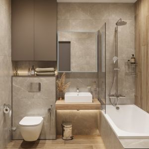 Чаша подвесного унитаза Ideal Standard Tesi (T355101) безободковый, с микролифтом