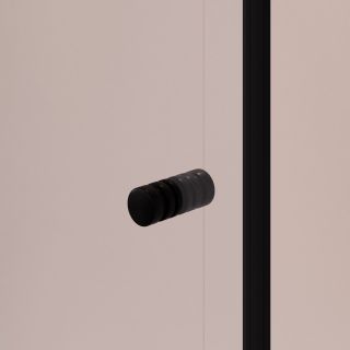 Душевая дверь RGW PA-02B NEW 41080200-14 100 см профиль чёрный стекло прозрачное