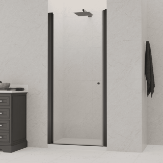 Душевая дверь RGW Dolphin TN-03B 54930309-14 90 см профиль чёрный стекло прозрачное