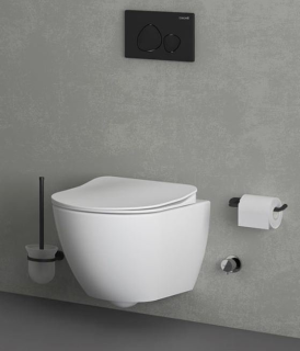 Подвесной унитаз с функцией биде Creavit Free FE320-34CB00E-0002 безободковый белый