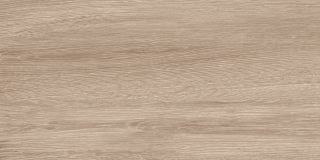 Керамогранит Delacora Кедр / Cedar D30018M матовый 300х600