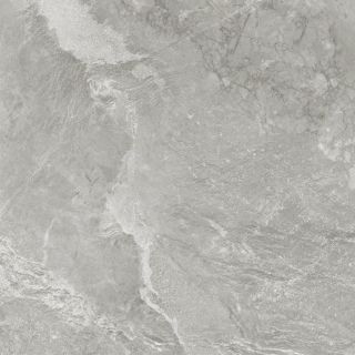 Керамогранит New Trend Вайлд светлый / Wild Light D60259M d матовый 600х600