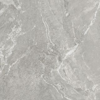 Керамогранит New Trend Вайлд светлый / Wild Light D60259M d матовый 600х600