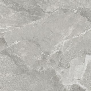 Керамогранит New Trend Вайлд светлый / Wild Light D60259M d матовый 600х600