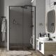 Душевая дверь Wasserkraft Dill 61S05 120x200 см