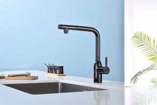 Смеситель для кухни Paulmark Viper Vi213105-GB чёрный глянцевый Смеситель для кухни Paulmark Viper Vi213105-GB чёрный глянцевый